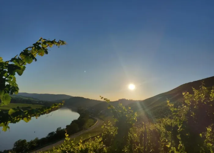 Ferienwohnungen Zum Niederberg